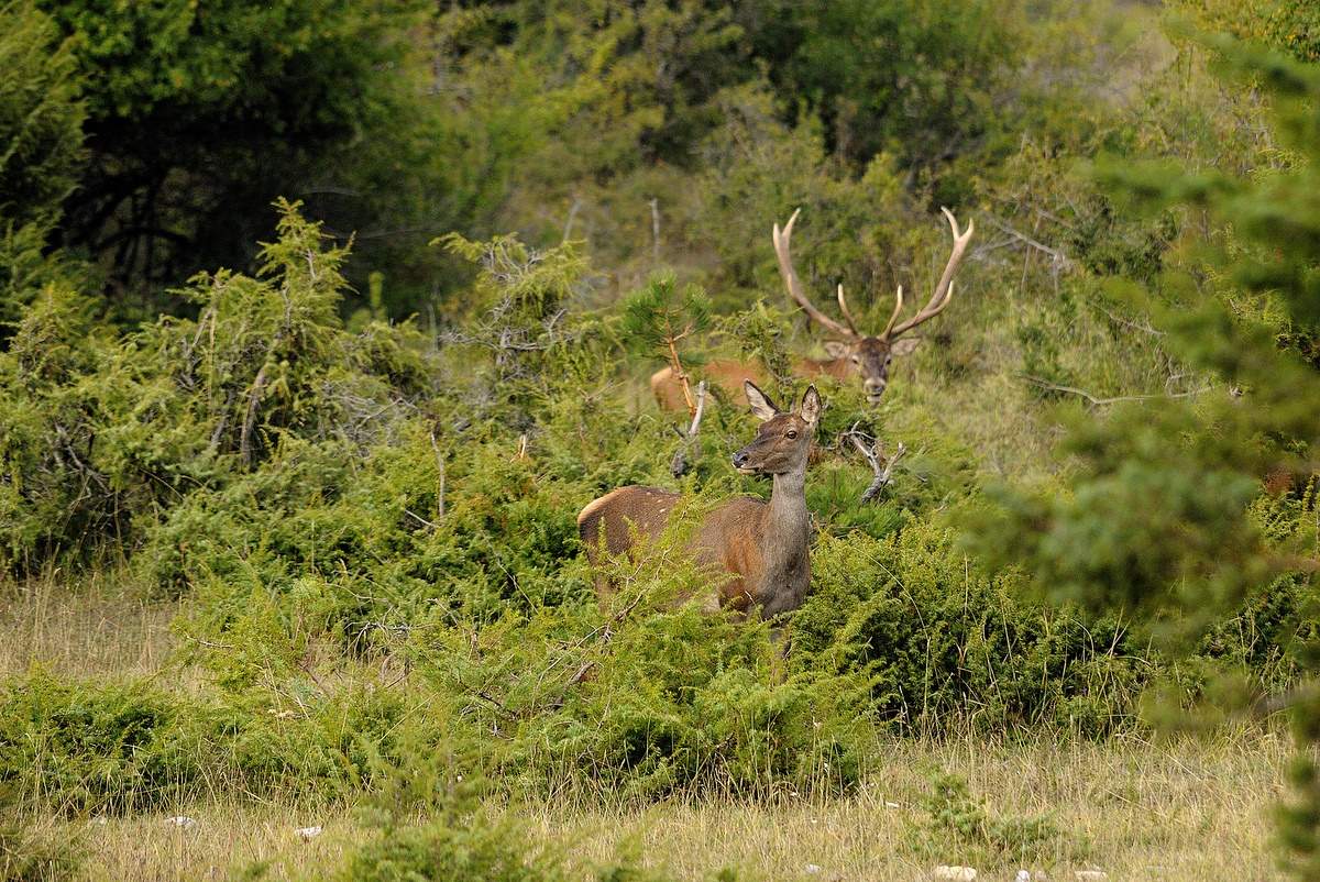 Sogno  (fotoracconto)